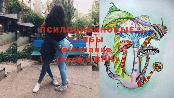 кокс Вяземский